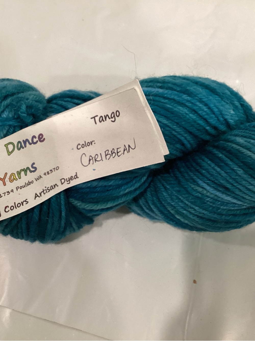 1 hank of color dance yarns tango yarn in colorway Caribbean